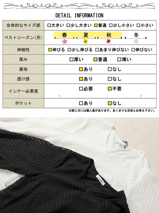 大きいサイズ レディース シアーVネックボリューム袖ブラウス 大きいサイズ レディース シアーVネックボリューム袖ブラウス
