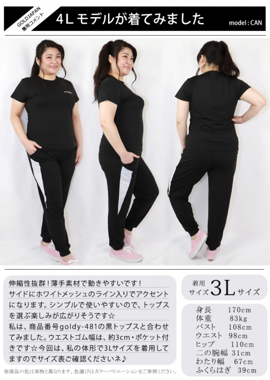 未使用品】GOLDEN GOOSE サイドラインパンツ サイズ38 - メルカリ