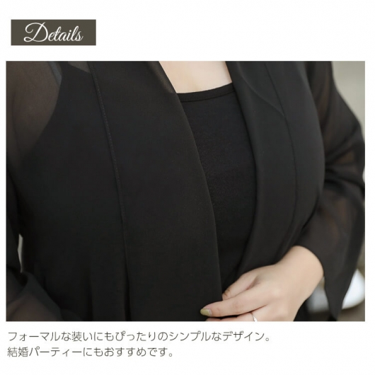大きいサイズ レディース ビッグサイズ シースルーブラック