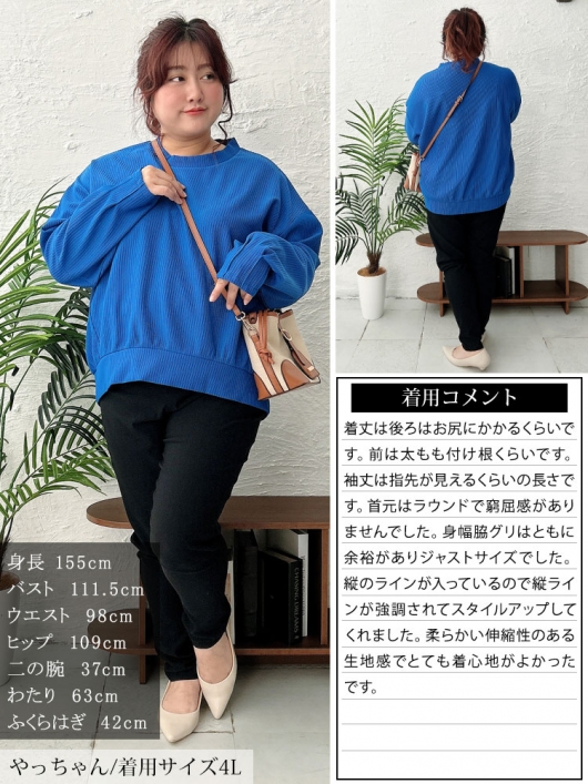 イベントセール】 大きいサイズ レディース 袖口タックリップルプル