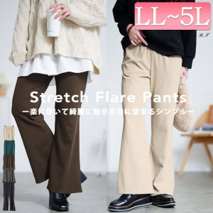 �X�g���b�`�e���R�t���A�p���c