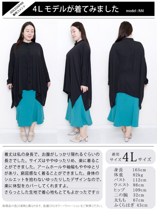 jp393-r1.jpg