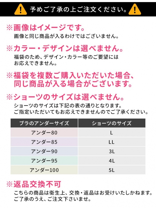 大きいサイズ レディース 大きいサイズ3点下着福袋ブラ＆ショーツ