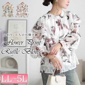 �V�A�[�ԕ��t�����V�����_�[�u���E�X