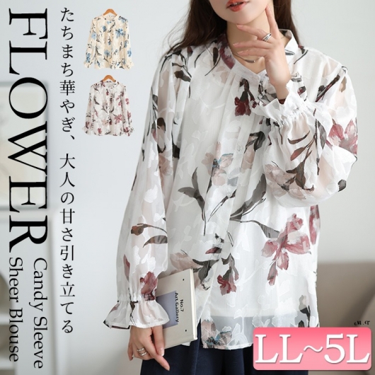 �V�A�[�ԕ��L�����f�B�X���[�u�u���E�X