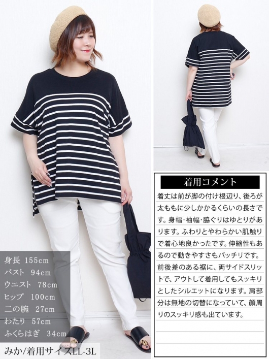 大きいサイズ J.PRESS デラヴェボーダーTシャツ(23区自由区ICB組曲) 大きいサイズ J.PRESS デラヴェボーダーTシャツ(23区自由区ICB